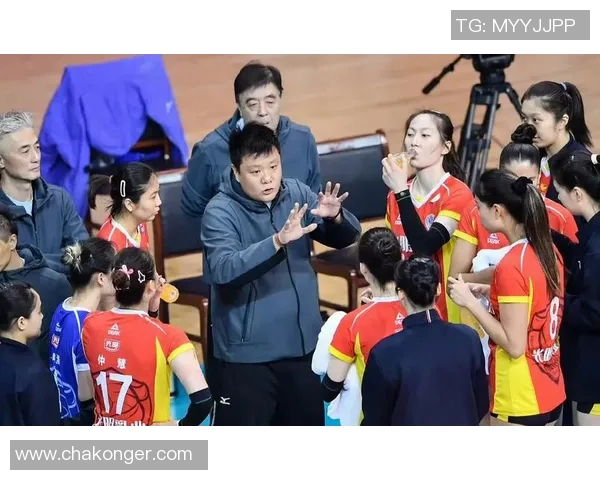 上海排球队实力强劲排球个人能力排行榜揭晓第三名荣耀